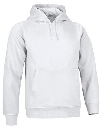 Sweatshirt V3