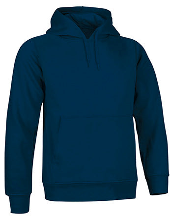 Sweatshirt V3