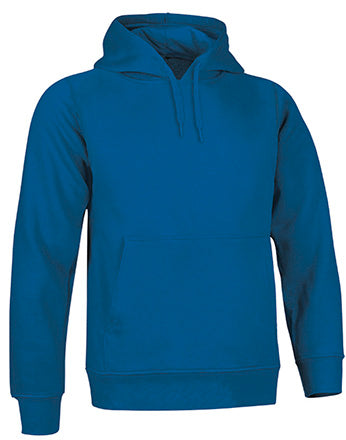Sweatshirt V3