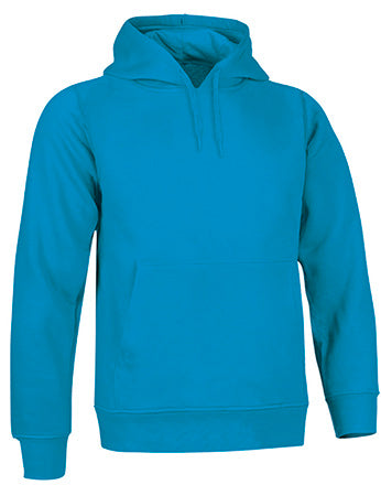 Sweatshirt V3