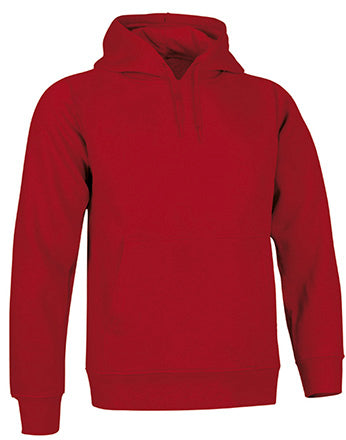 Sweatshirt V3