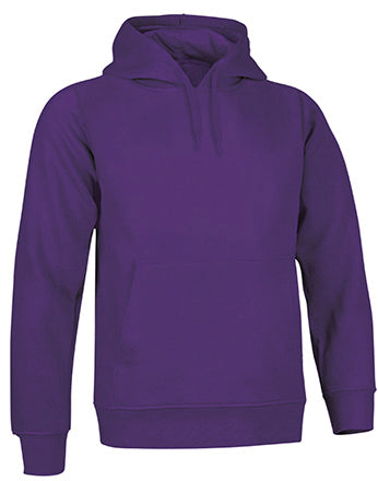 Sweatshirt V3