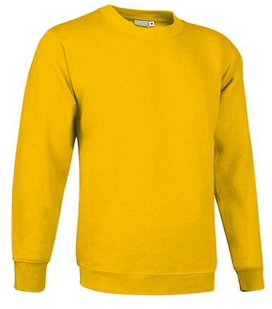 Sweatshirt V2