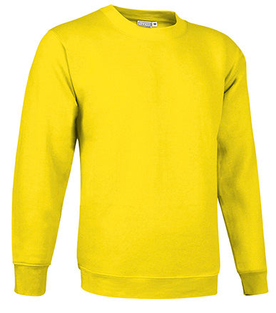 Sweatshirt V2