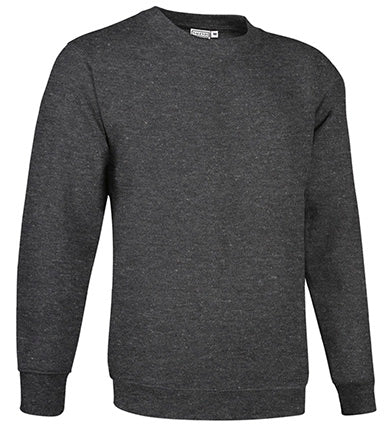 Sweatshirt V2