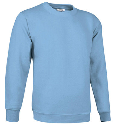 Sweatshirt V2