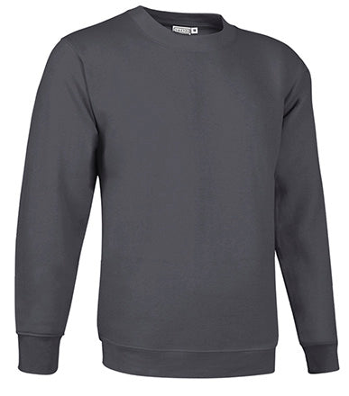 Sweatshirt V2