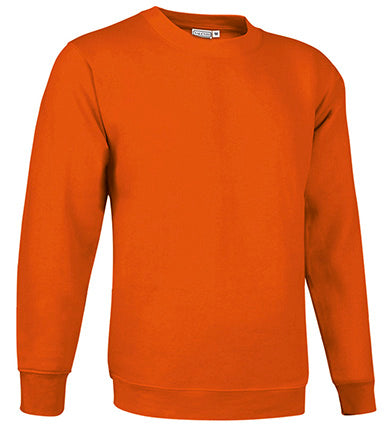 Sweatshirt V2