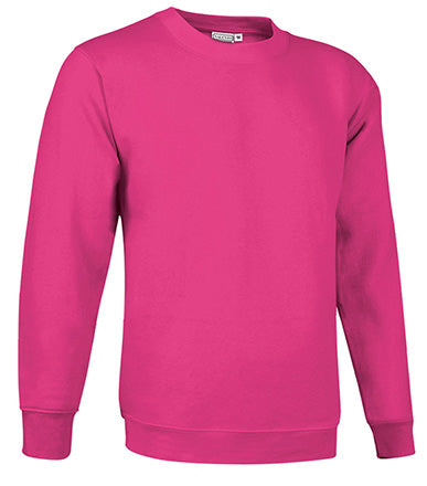 Sweatshirt V2