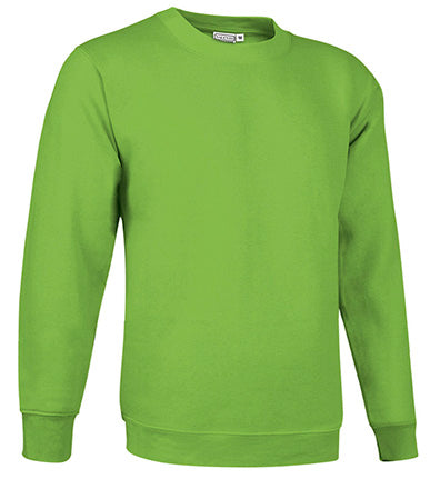 Sweatshirt V2