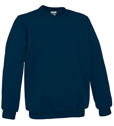 Sweatshirt V1