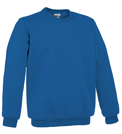 Sweatshirt V1