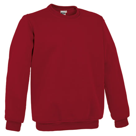 Sweatshirt V1